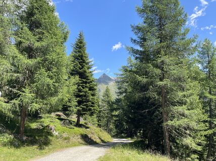Foto von albstr entlang der Tour