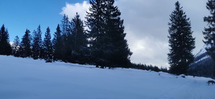 Foto de Claudia Hinteregger a lo largo del recorrido