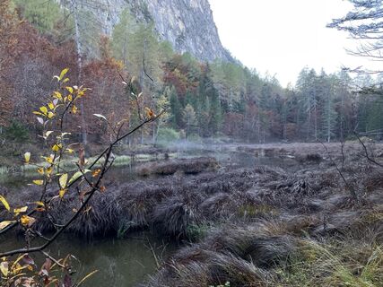 Foto de Rupecker a lo largo del recorrido