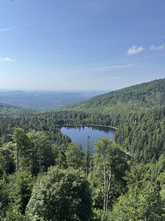 Fotografia z Michael Grill 1 na trase