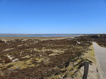 Fotografia z Klaus-Jürgen Weichelt na trase