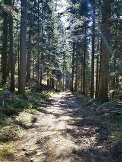 Foto de 3d63 ru^^n3r a lo largo del recorrido