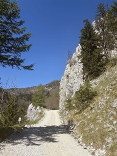 Zdjęcie z ALUP wzdłuż trasy