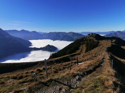 Foto von luyyy entlang der Tour