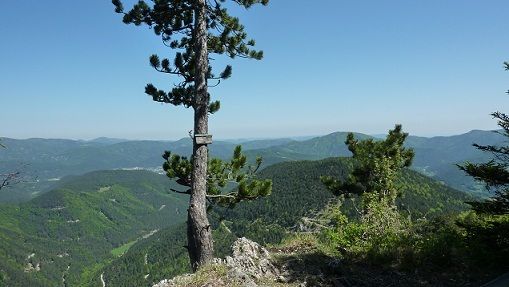 Am Weg zum Plattenstein