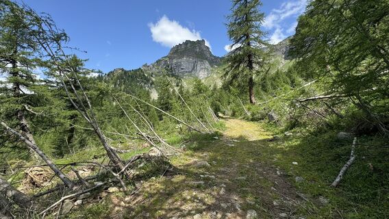 Foto von peter_oe entlang der Tour