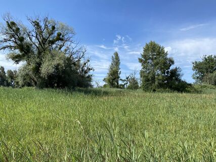 Fotó a Cord Schill honlapról a túra során