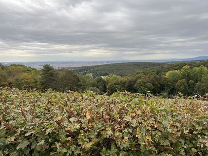 Foto von Florian Hofer entlang der Tour