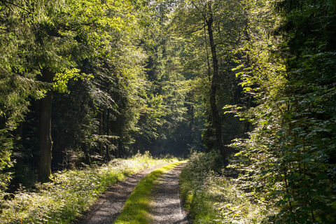 Wanderweg an der Einsiedelei