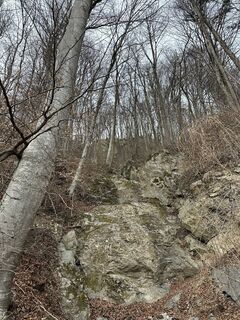 Fotografija s spletne strani Cyrill Bischof na poti