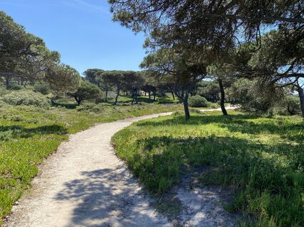 Foto von Ursula Müller 1 entlang der Tour