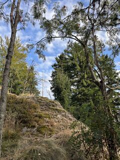 Photo de Daniel Groß le long du parcours