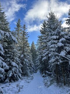 Fotografie z Felicitas Wellhäußer na trase