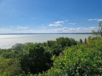 Fotografia z Szomi Balázs na trase