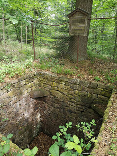 Die Wolfsgrube