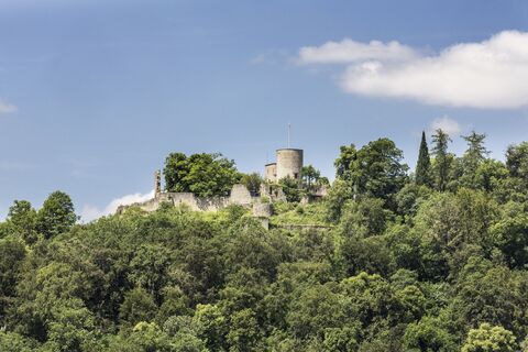 Schloßberg mit Burgruine Hohennagold