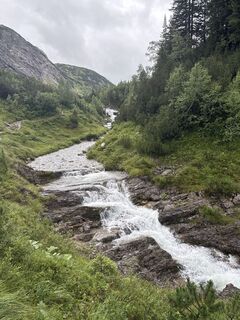 Fotografia z Grizzli na trase