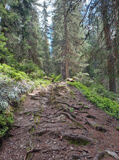 Foto da Greg+Lisa lungo il tour