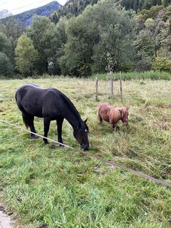Photo de kainjo le long du parcours