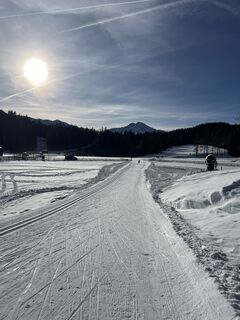 Photo from Heikoala along the tour