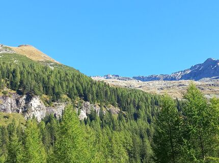 Foto von Christa Grailach entlang der Tour
