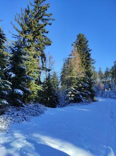 Fotografie z Làszló Visi na trase