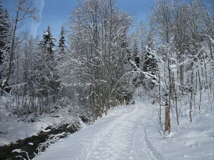 Beleuchteter Bachweg in Forstau