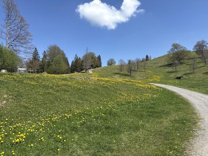 Fotografie z Similaun na trase