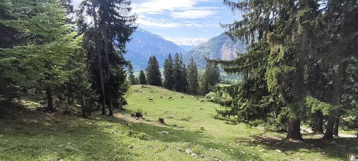 Foto von Iryna entlang der Tour