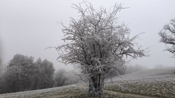 Fotó a WilliSt honlapról a túra során