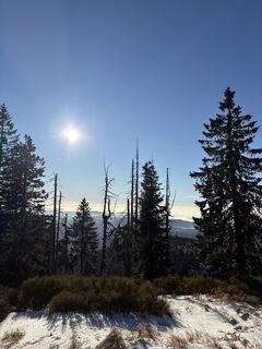 Fotografie z Egon Dullinger na trase