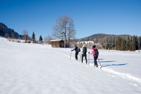 Schneeschuh-Wandern-Penningberg-Region-Hohe-Salve-(c)Region Hohe Salve - Stefan Ringler (11).jpg