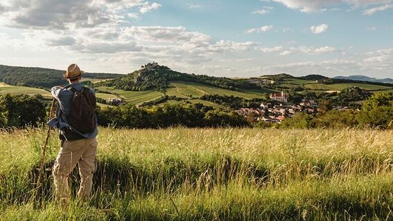 Blick auf die Burgruine Falkenstein
