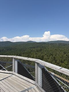 Fotografija s spletne strani Paul Winkler na poti