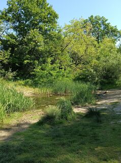 Foto de Julika Jármer a lo largo del recorrido