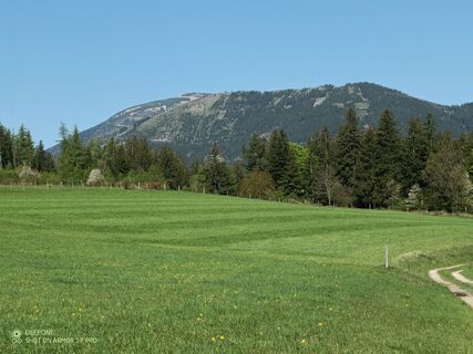 Foto von Bergpirat entlang der Tour