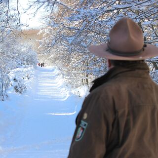 Sie können den Wilden Kermeter auch bei einer Rangertour erkunden
