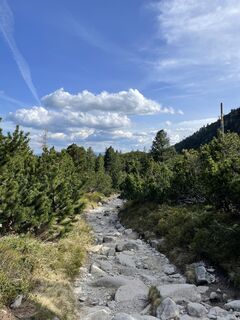 Fotografia z Enikő Pap na trase