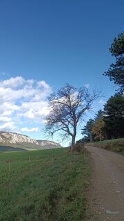 Photo de Bergpirat le long du parcours