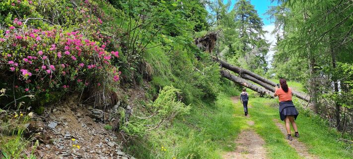 Foto de BButch a lo largo del recorrido