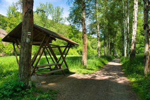 Karta