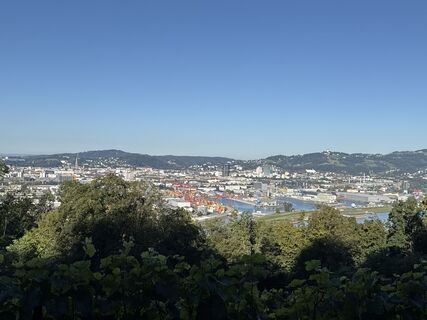 Fotografija s spletne strani Kornelia Wenzl na poti