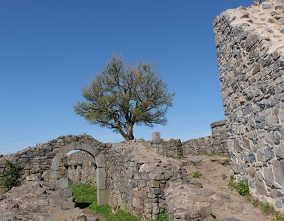 Ruine-Löwenburg