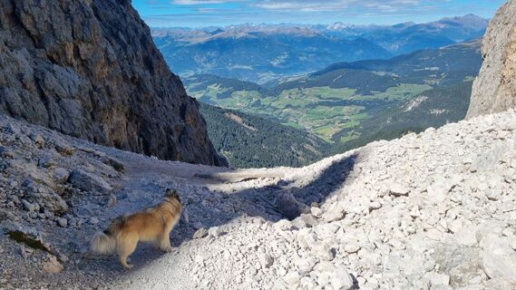 Foto von Michael Sparlund entlang der Tour