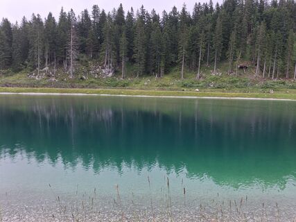 Foto von Olaf Schutten entlang der Tour