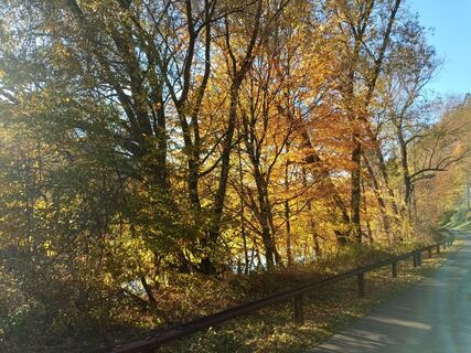 Foto fra Harald Bäck undervejs på turen