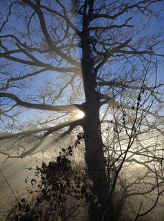 Fotografia z TwilightTea na trase