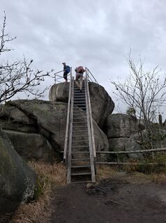Foto van Wollomator langs de tour