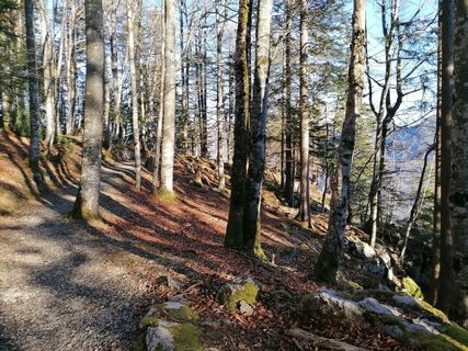 Fotografia z luyyy na trase