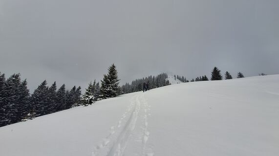 Fotografia z Regina Fleischmann na trase